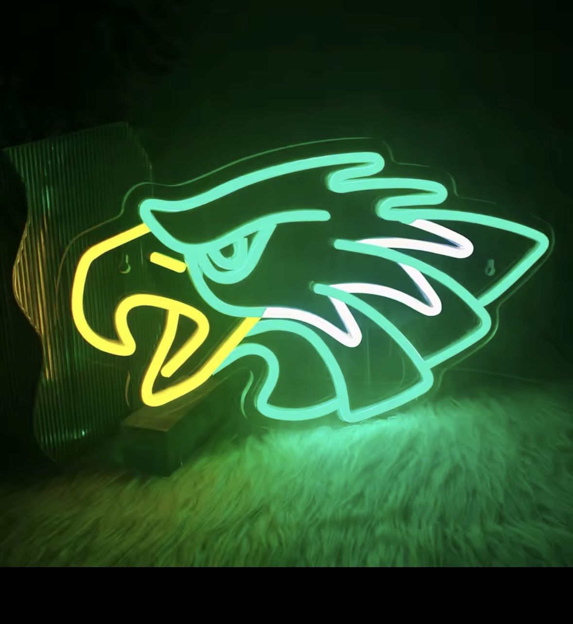 Philadelphia Eagles USB Powered NEON Light