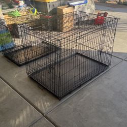 XL Kennel 