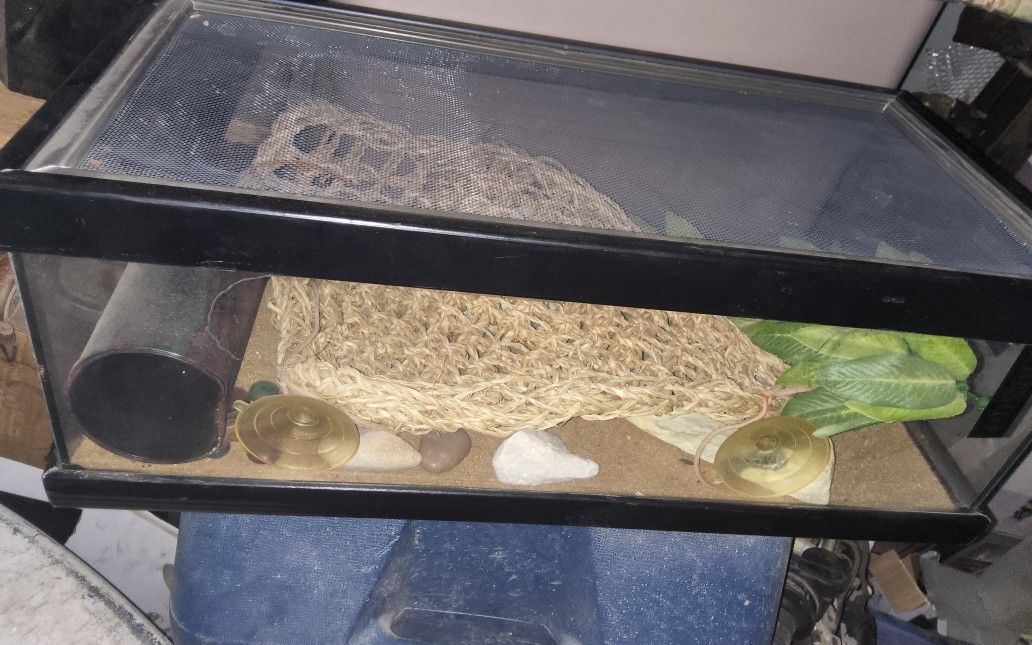 terrarium