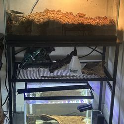 Aquarium Setup