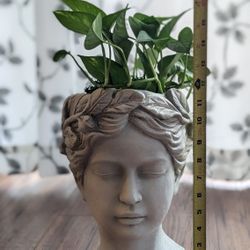 Planter With Live Plant