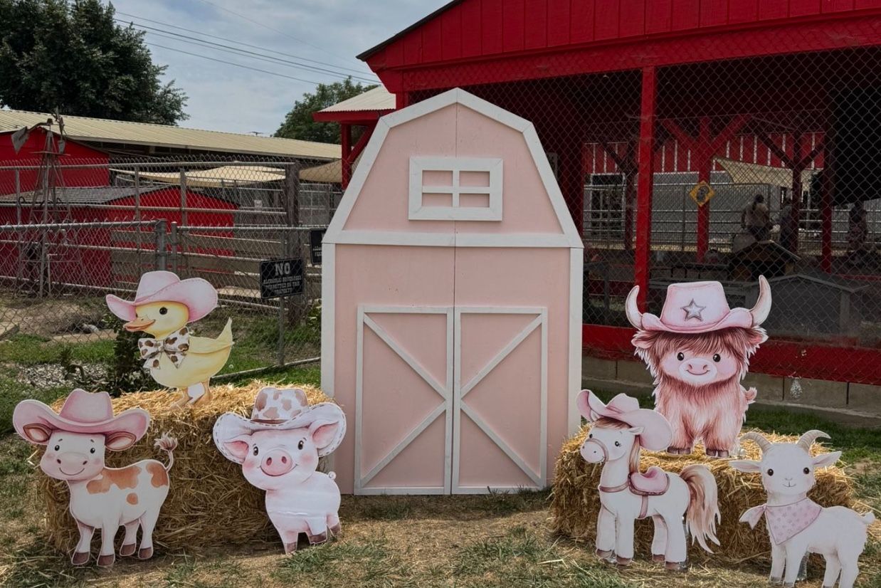 Farm Barnyard Party Set Up