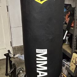 Everlast 70lb Punching Bag, Floor Anchor & Gloves