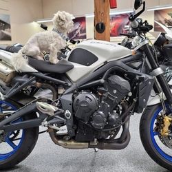 2012 Triumph Street Triple R - WHITE BLUE 11K MILES