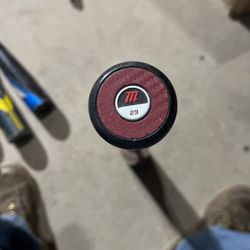 Marucci 