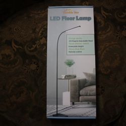 Led Floor Lamp