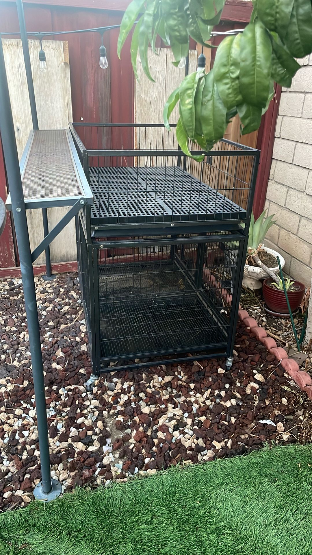 Dog Cage