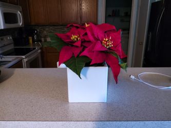 Artificial Poinsettia Plant In Hard Plastic Pot