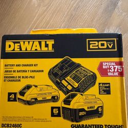 DEWALT 20V MAX Lithium-Ion 6.0Ah and 4.0Ah Battery and Charger Starter Kit