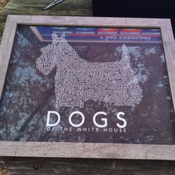 XMAS 🎄 GIFTS IDEAS $20 EACH FINAL PRICE SEE 👀 ALL PICTURES 