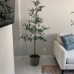 Faux Olive Tree