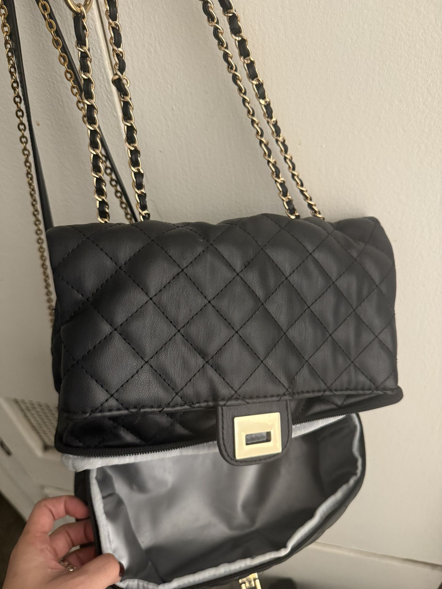 Pumping/insulated Purse
