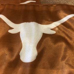 Texas Longhorns UT Car Flags