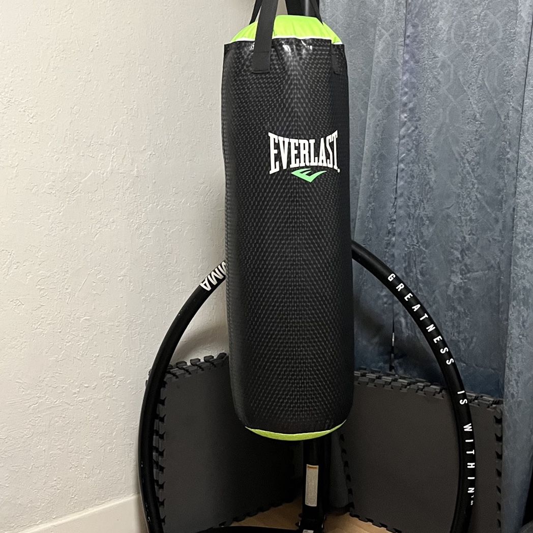 Everlast everstrike punching bag sale