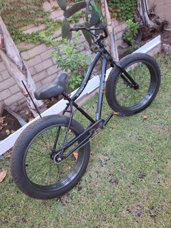 Sun Spider Bike Firm