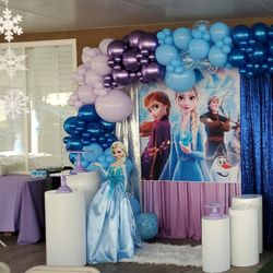 Frozen Birthday