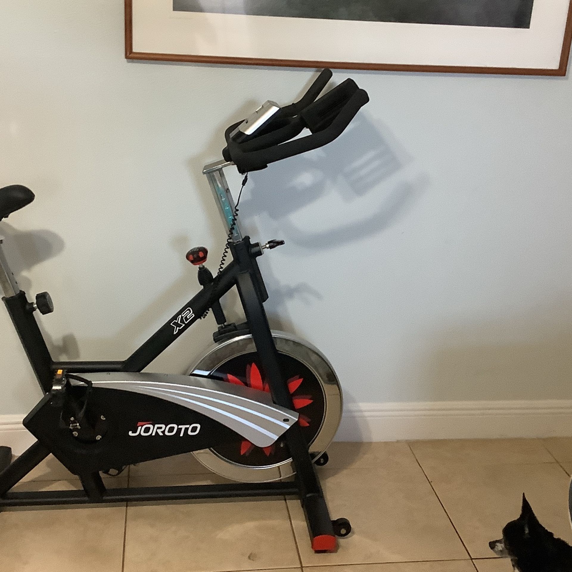 Exercise Bike