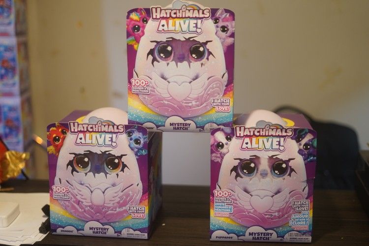 Hatchimals Alive Brand NEW