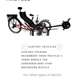 Newer Recumbent Electric Bike