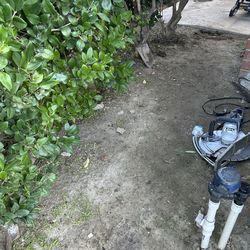 Free dirt already bagged