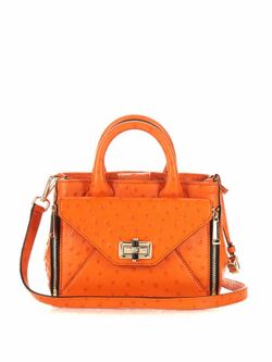 Diane von Furstenberg DVF Purse with detachable Clutch