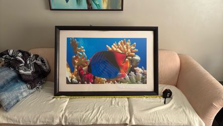 Fish 🐟 Picture
