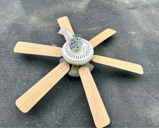 Ceiling Fan with Light Kit and Blades