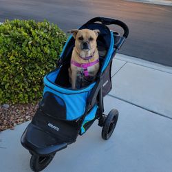 Pet Jogger Stroller 
