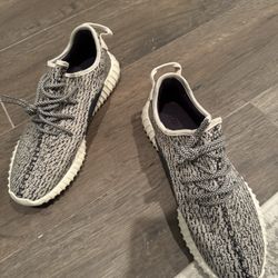 Adidas Yeezy Turtle Doves M11