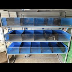 Acrylic Fish Tanks 