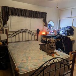 Queen Bed Head Board Foot Board & Frame (Mattress & Box Spring Free Of Wanted)