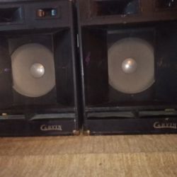 Two Carvin Speakers 