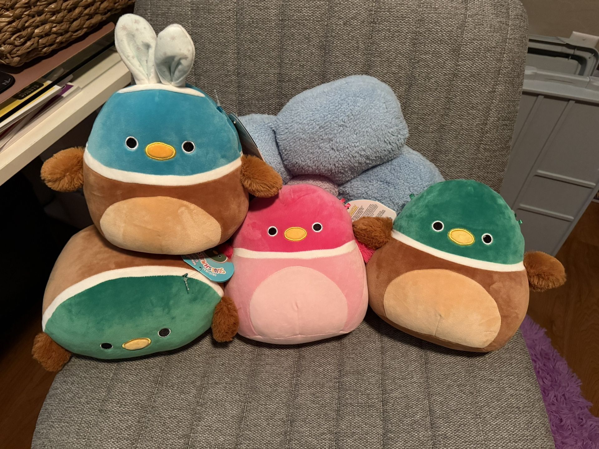Avery Squishmallow bundle