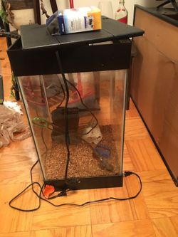 15 gallon fish tank