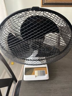 Fan