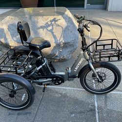 Lectric XP Trike – Low Miles, Battery Strong