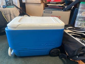 Cooler
