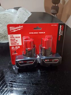 Milwaukee twin battery pack