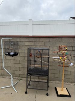 Bird cage perch and small hanging cage all for 180$