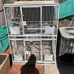 Cage For Birds 