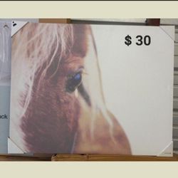 Brand New Art Framed // Price Starts At $10