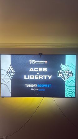 65” TV w Mount & Govee lights