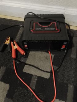 12V/24V Intelligent Pulse Fast Battery Charger
