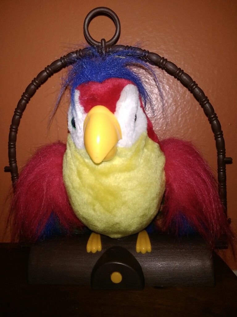 Talking parrot . Repeat what you say