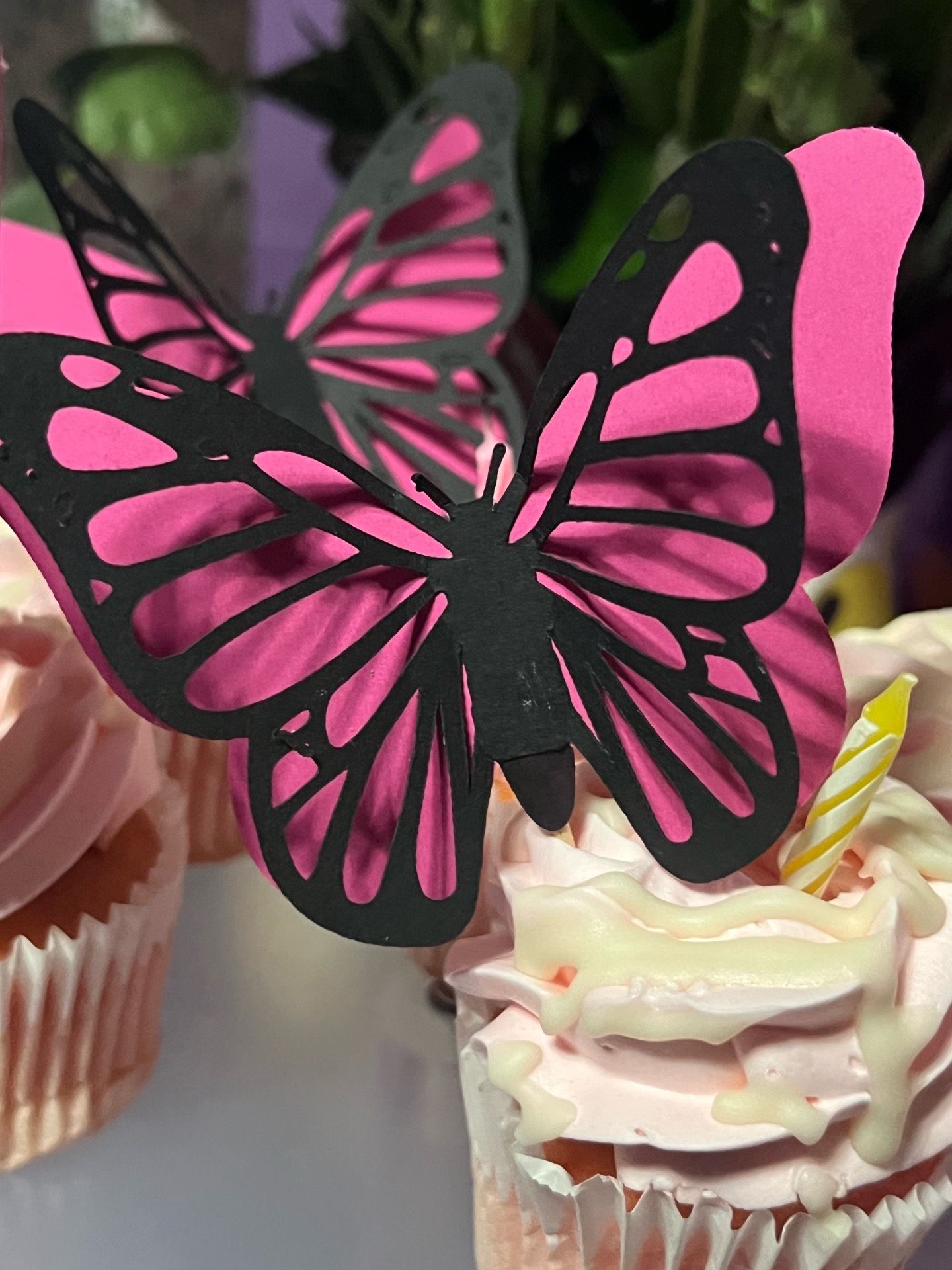 Butterflies