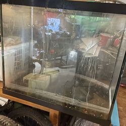 36 Gallon Bow Front W/  TWO 10 Gallon Tanks