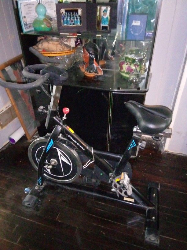 Dynamic Exercise Bike, Black