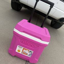 Pink Igloo