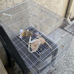 Animal Cage
