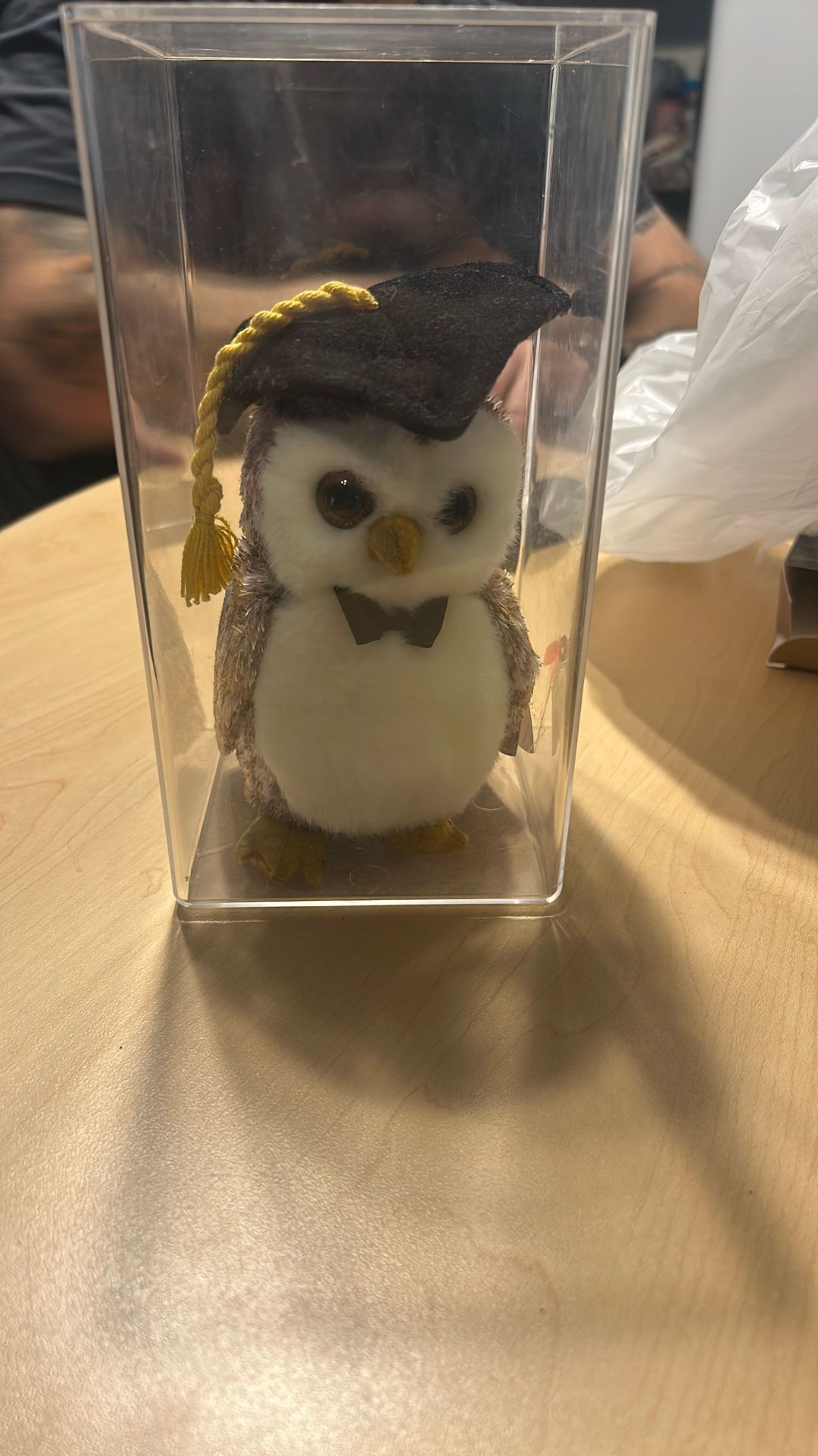 Class Of 2002 Graduation Ty Beanie Baby 